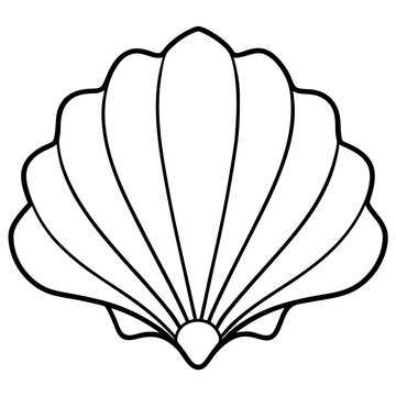 recommend clip art: seashell outline coloring book page line art drawing