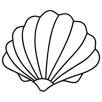 recommend clip art: seashell outline coloring book page line art drawing