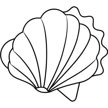 recommend clip art: seashell outline coloring book page line art drawing