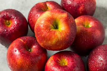 Organic Raw Cosmic Crisp Red Apples
