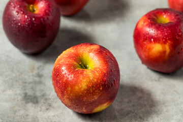 Organic Raw Cosmic Crisp Red Apples
