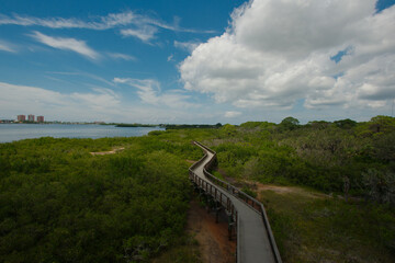 High Wide view from observation tower of Leading Lines of a zig zag wood nature trail on the right into Green trees. Bright sunshine with blue sky and white clouds at Boca Ciega Millennium Park, Wood 