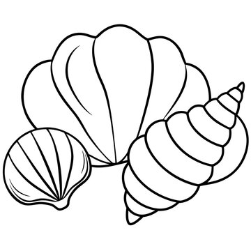 recommend clip art: seashells outline coloring book page line art drawing