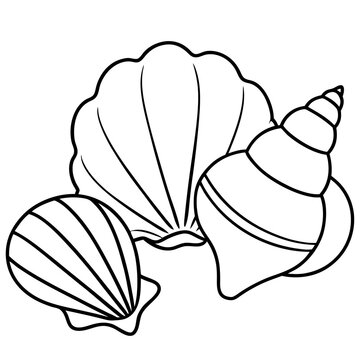 recommend clip art: seashells outline coloring book page line art drawing
