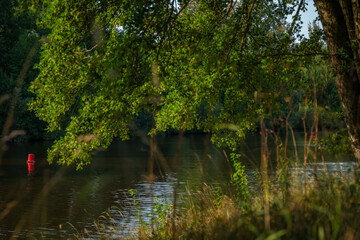Vltava river in summer color evening near Ceske Budejovice city