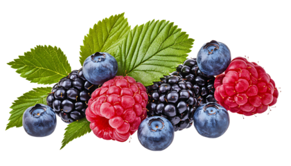 Wild Berries Mix: Raspberry, Blueberries, and Blackberries Isolated on White Background