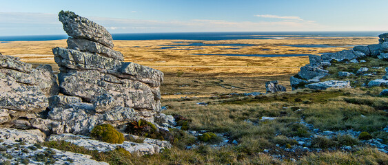 Falkland Island landscape