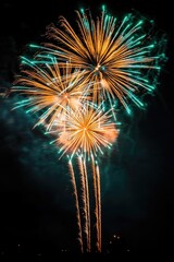 Night Sky Fireworks