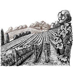 Black and White Vineyard Landscape with Farmer's House.eps