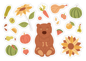 A set of stickers with a cute bear and harvest. Color flat vector illustration.