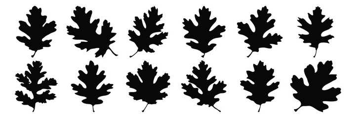 Leaf silhouettes set, nature pack of vector silhouette design, isolated background