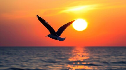 Fototapeta premium Seagull Silhouette Flying into the Sunset Over the Ocean