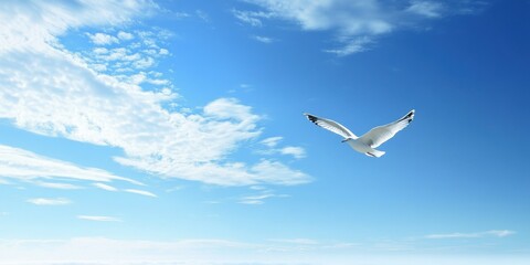 Solitary Seagull Soaring in Endless Sky - Minimalist Nature Photography Embracing Freedom Concept