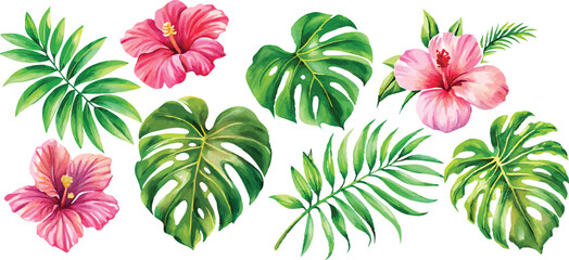 Fototapeta premium A set of exotic tropical leaves and flowers of plumeria hibiscus strelitzia