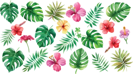 Fototapeten A set of exotic tropical leaves and flowers of plumeria hibiscus strelitzia © Mamun