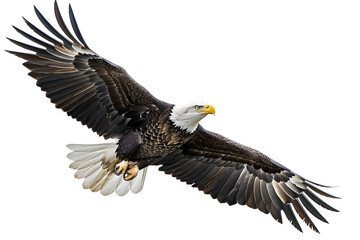 Fototapeta premium Graceful eagle in mid-flight against a clear blue sky isolated on transparent background