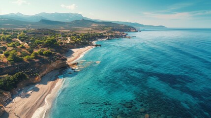 Fototapeta premium 3D visualization of coronavirus particles in a biological environment, showing detailed virus structure