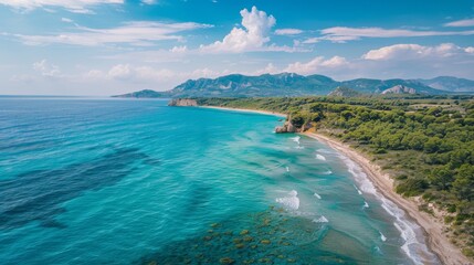 3D visualization of coronavirus particles in a biological environment, showing detailed virus structure