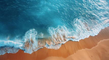 3D visualization of coronavirus particles in a biological environment, showing detailed virus structure