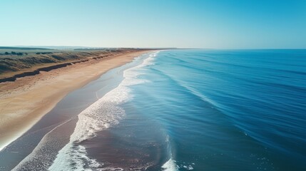 3D visualization of coronavirus particles in a biological environment, showing detailed virus structure