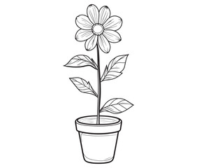 Flower in a pot cartoon flower illustration vector 