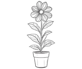 Flower in a pot cartoon flower illustration vector 
