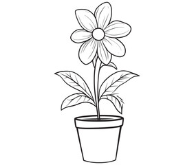 Flower in a pot cartoon flower illustration vector 