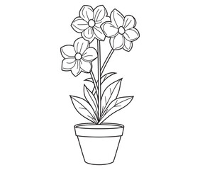 Flower in a pot cartoon flower illustration vector 