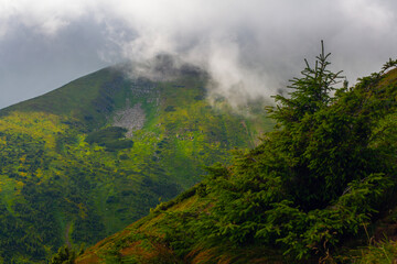 Amazing view of Carpathian Mountains aroung the Hoverla mountain, Ukraine