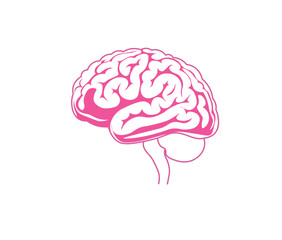 brain outline vector outline illustration on white isolated