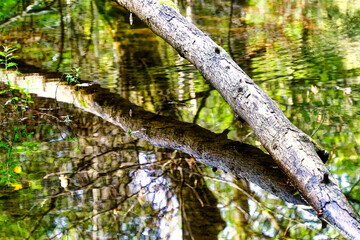 Hiking along the banks of the Bavarian River Wuerm