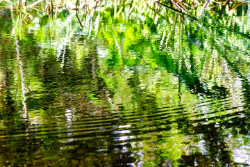 Hiking along the banks of the Bavarian River Wuerm