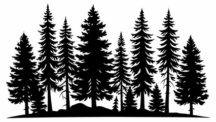 Fototapeta premium pine tree forest silhouette, Fir trees silhouette. vector illustration