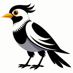 Black and White Bird - Vector Illustration, Logo Icon, SVG, Cut Files for Cricut & Silhouette