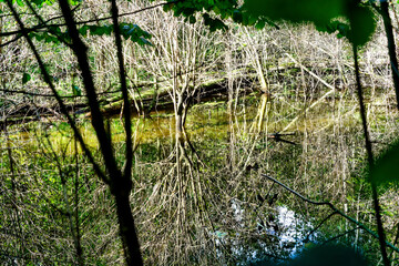 Hiking along the banks of the Bavarian River Wuerm
