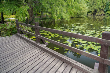 Fototapeta premium pond of the british botanical garden of Bratislava