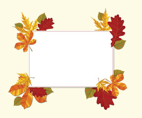 Autumn background illustration vector. Flat background of autumn. Autumn banner with golden maple and oak leaves. Happy September, hello autumn, fall in love.