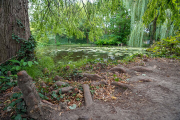 pond of the british botanical garden of Bratislava