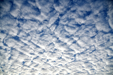 Photography of beautiful fluffy clouds