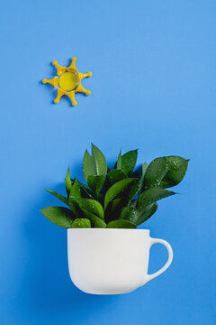 White ceramic cup mock up filled with green leaves. Toy sun and bright blue background.