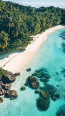 tropical island with palm trees