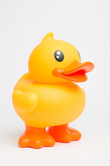 Rubber, duck and toy in studio for bath, water and children entertainment with fun squeaky sound. Plastic bird, object and white background for kids, pool and playing with childhood games or activity
