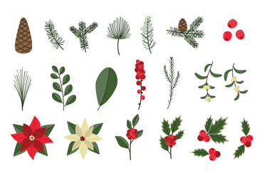 Christmas botanical set. Winter plants. Illustration of pine branches, holly, mistletoe, poinsettias, and berries. Holiday decoration elements.