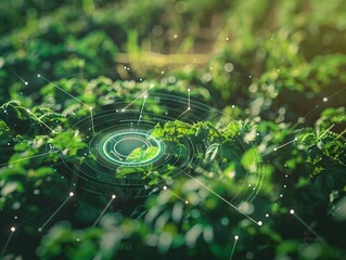 Smart Interconnected Farming with Drones and Sensors Managing Crop Health and Yield