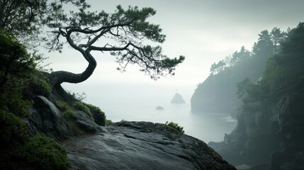  A solitary tree on the cliff's edge gazes over a body of water, foregrounded by a rocky outcropping
