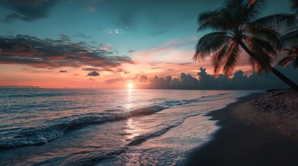  A tropical beach sunset with a palm tree in the foreground and sun sinking in the distance
