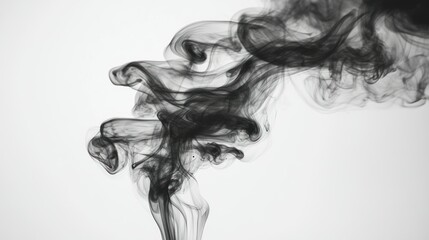Fototapeta premium Abstract Swirling Black Smoke on a White Background