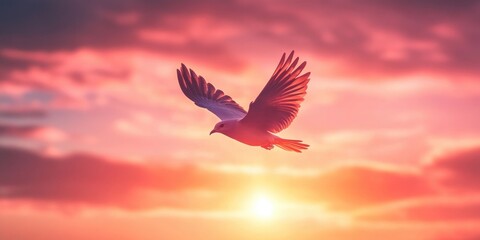 Obraz premium Bird Flying Sunset Sky