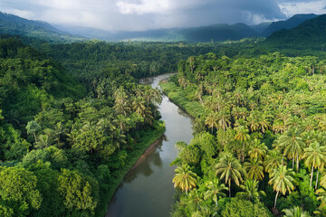An aerial drone photo of a stunning view of a dense jungle forest with a winding river cutting through the lush greenery. The landscape highlights the beauty of untouched nature from a bird&rsquo;s-eye view