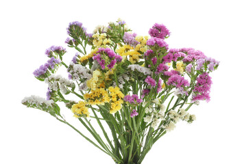 Bouquet of beautiful limonium flowers isolated on white